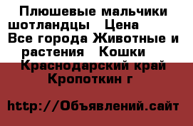 Плюшевые мальчики шотландцы › Цена ­ 500 - Все города Животные и растения » Кошки   . Краснодарский край,Кропоткин г.